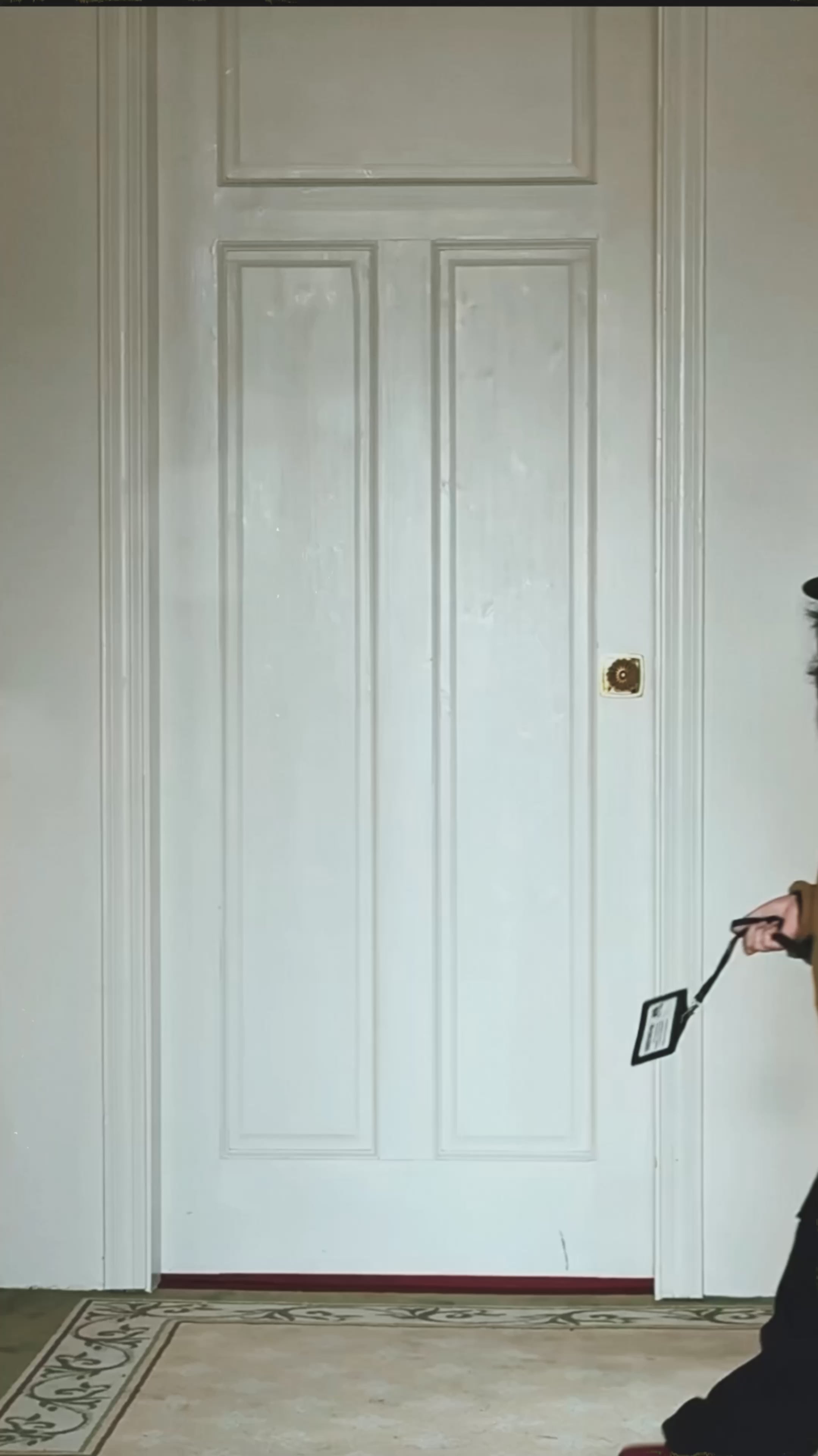 動画を読み込む: 